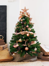 Gatsby Mini Tree Cranberry Frog